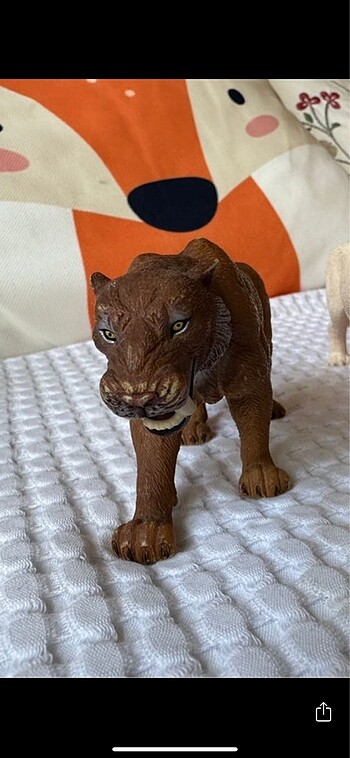Mojo aslan