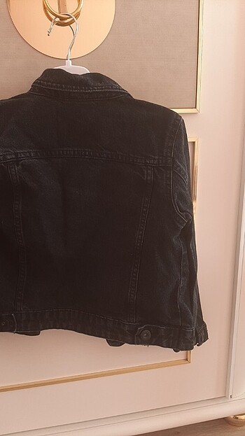 LC Waikiki Kot ceket