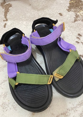 National Geographic 37