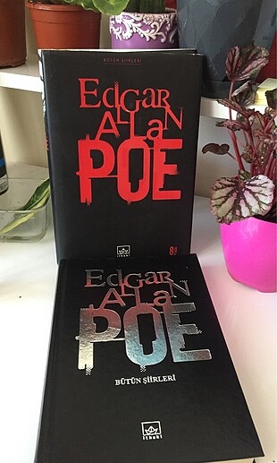 Edgar Allan Poe/ Amerikan Tanrıları