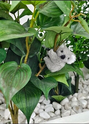  Beden Kafası Dönebilen Sevimli Koala 