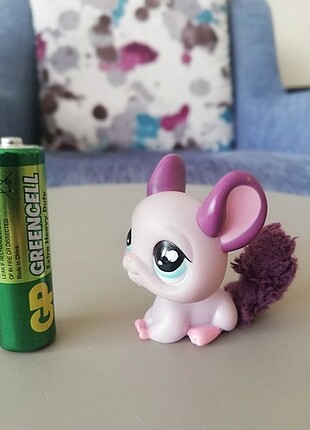 Lps Miniş Chinchilla 