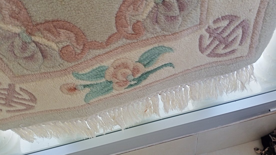 Bej Nakışlı Klasik Halı - Görsel 2