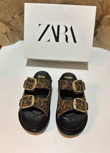 Zara Leopar 