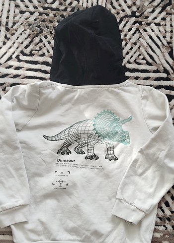 Erkek Çocuk Kapüşonlu Baskılı Sweatshirt - Görsel 3