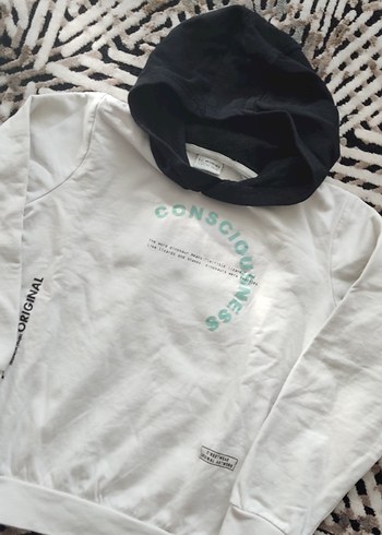 Erkek Çocuk Kapüşonlu Baskılı Sweatshirt - Görsel 5