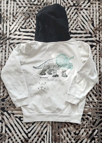 Erkek Çocuk Kapüşonlu Baskılı Sweatshirt - Görsel 2