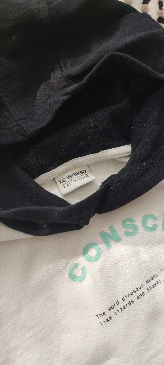 Erkek Çocuk Kapüşonlu Baskılı Sweatshirt - Görsel 4