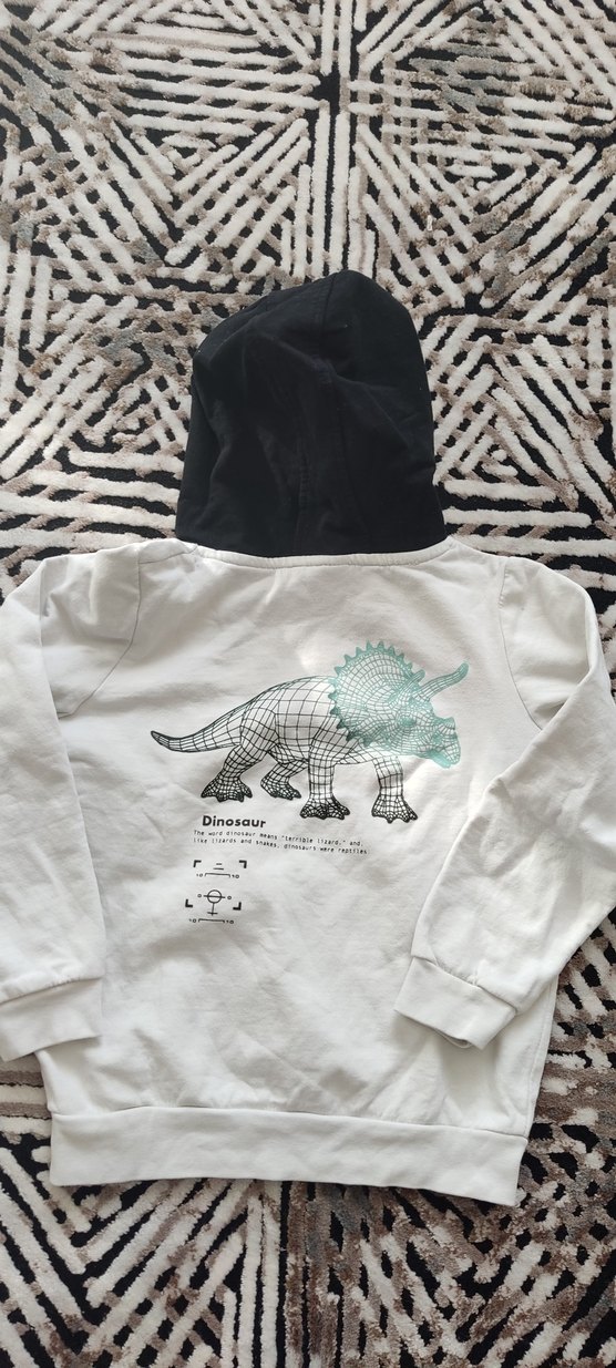 Erkek Çocuk Kapüşonlu Baskılı Sweatshirt - Görsel 3