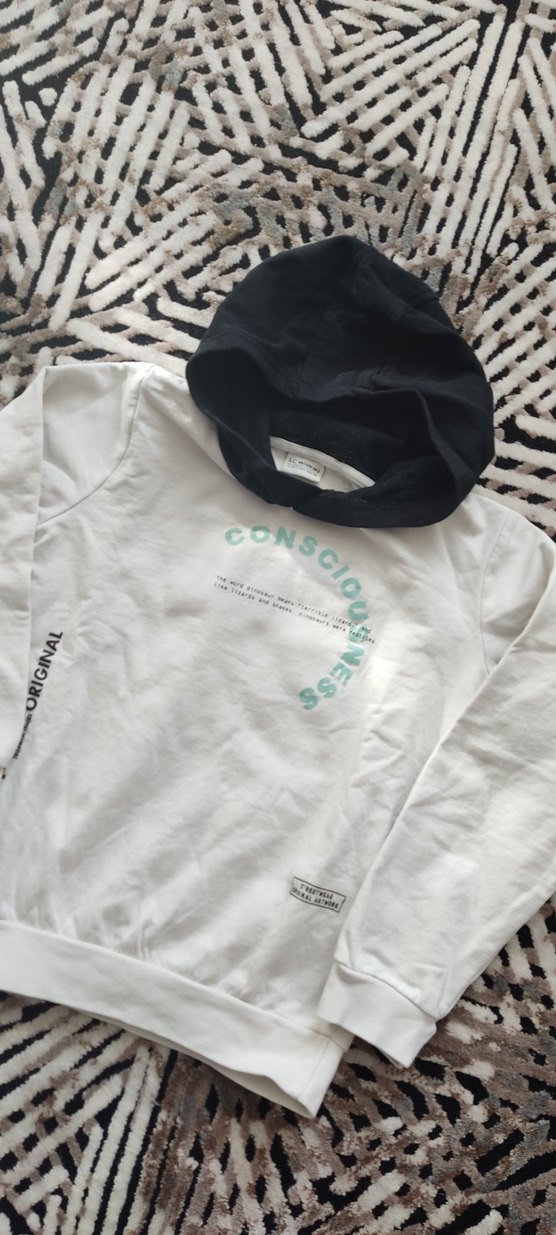 Erkek Çocuk Kapüşonlu Baskılı Sweatshirt - Görsel 5