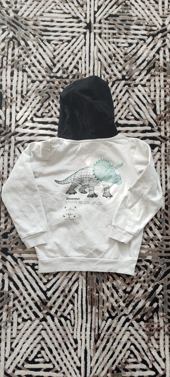 Erkek Çocuk Kapüşonlu Baskılı Sweatshirt - Görsel 2