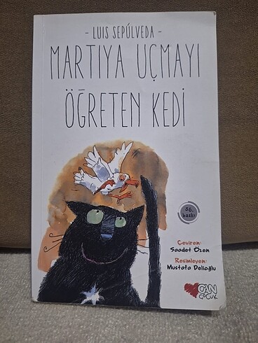 martıya uçmayı öğreten kedi