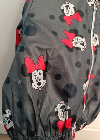 5 Yaş Beden Kız Bebek Minnie Mouse Baskılı 3'lü Takım