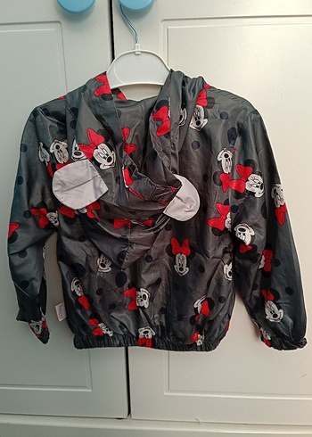 5 Yaş Beden gri Renk Kız Bebek Minnie Mouse Baskılı 3'lü Takım