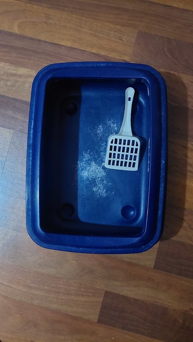 Mavi Kedi Tuvalet Kabı ve Kürek - Görsel 3