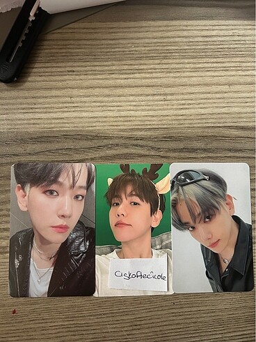 Baek pcler