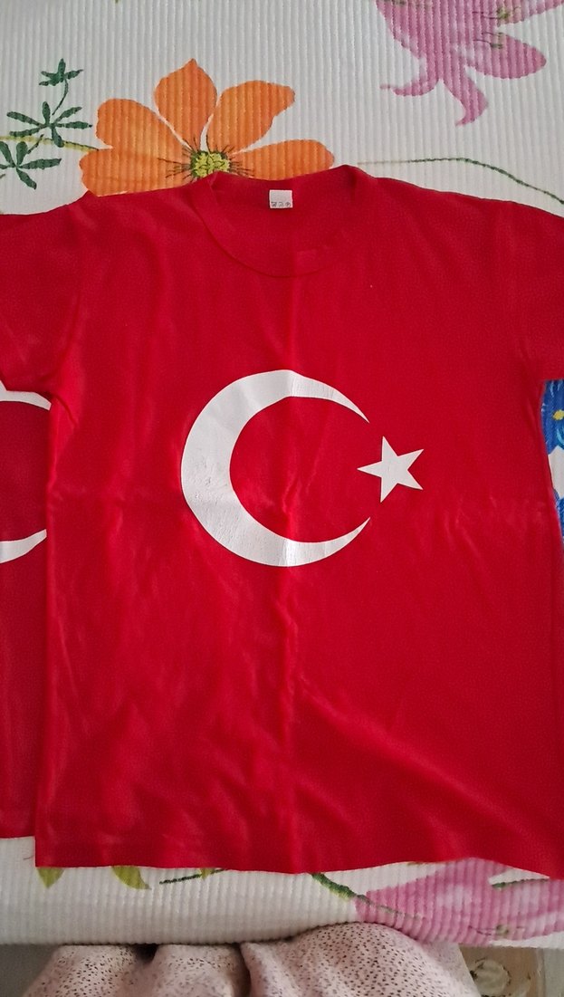 Diger Erkek Çocuk Kırmızı Baskılı Tişört - Görsel 2