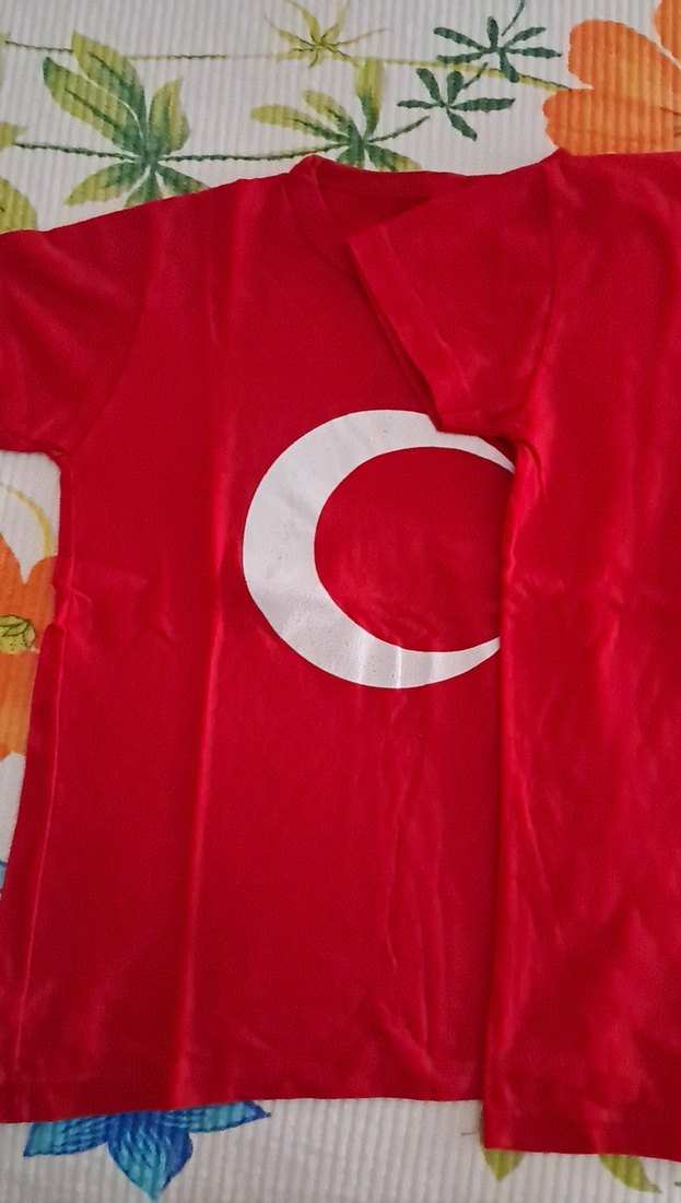 Diger Erkek Çocuk Kırmızı Baskılı Tişört - Görsel 3