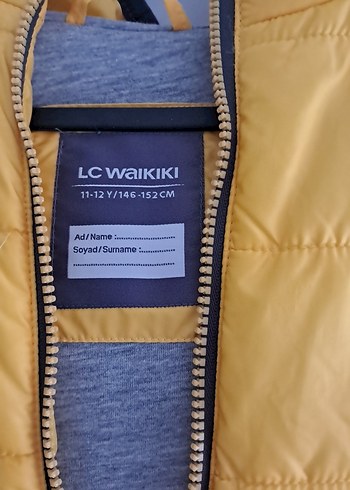 Sarı Kapüşonlu Erkek Çocuk Yelek - Görsel 2