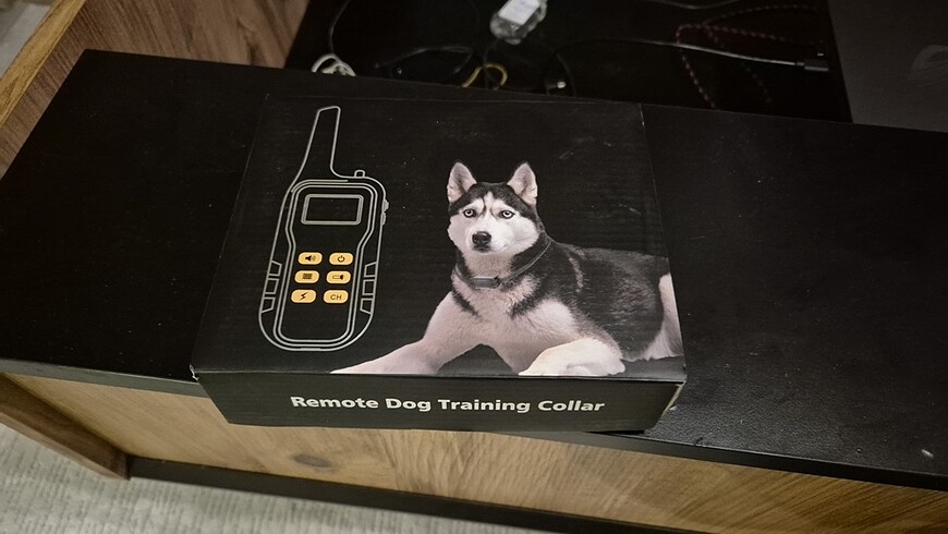 Köpek eğitim tasması