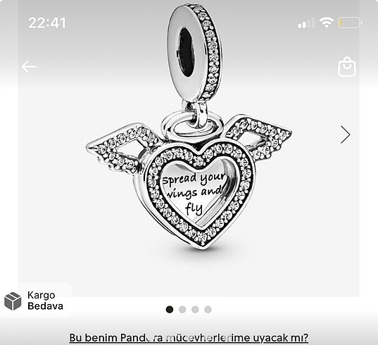 Pandora Pandora charm