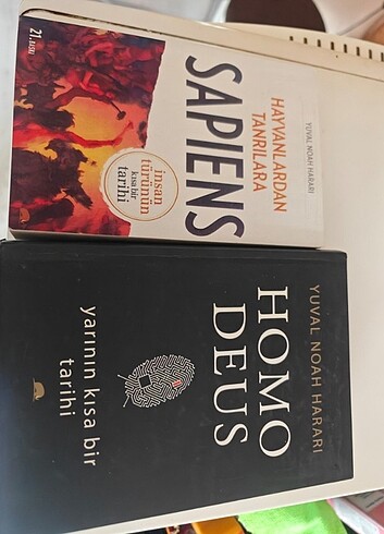 Sapiens homodeus 