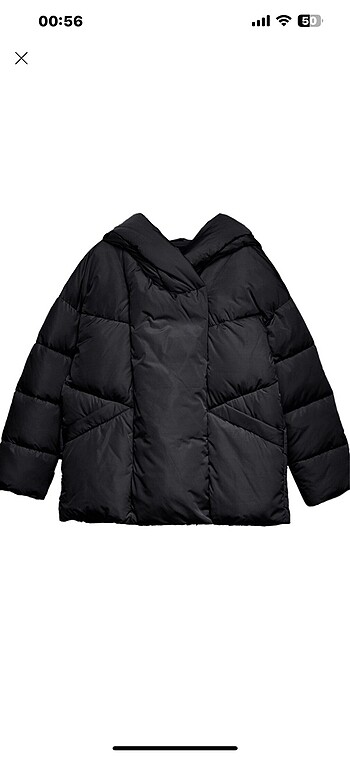 Stradivarius stradivarius mont