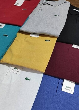 Lacoste Münir Bey