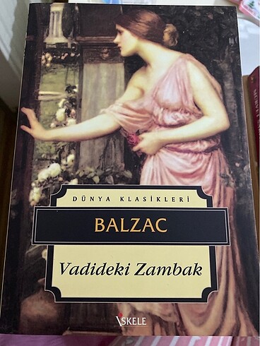 Balzac vadideki zambak kitabı