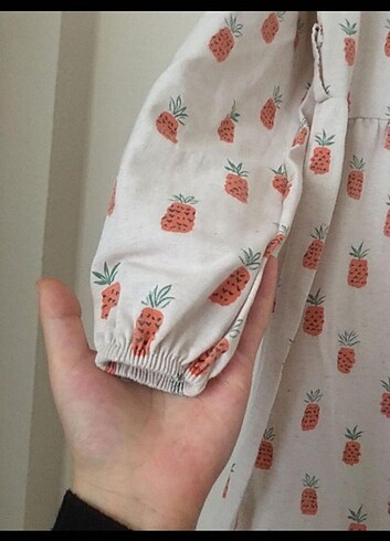 Zara Ananas 
