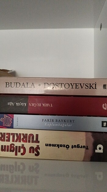 Kitap 
