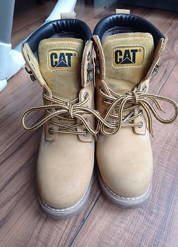 Cat bot