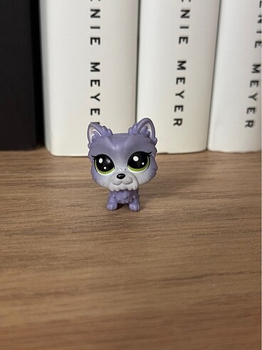 LPS Miniş Köpek