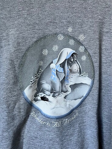 Walt Disney World disney store sweatshirt