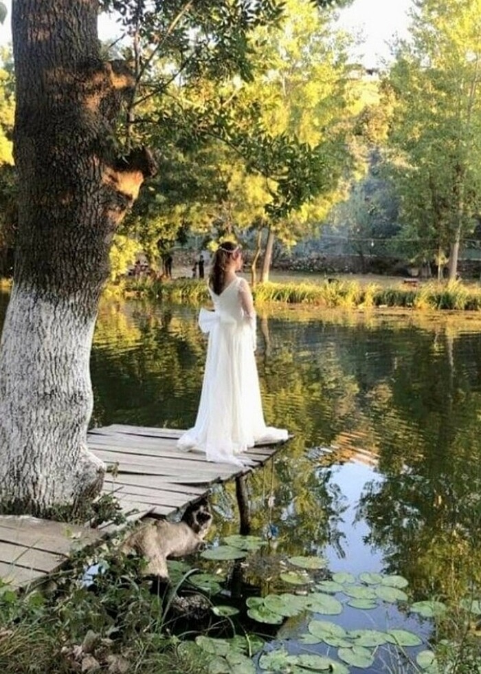 Gelinlik nikah elbisesi - Görsel 2