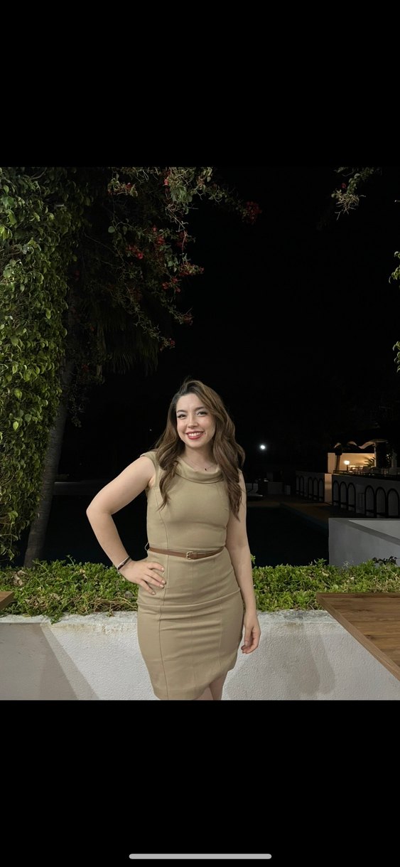 Bej  Midi Kalem Elbise - Görsel 2