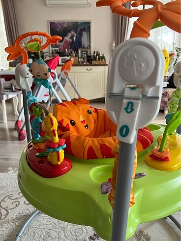 Beden çeşitli Renk Fisher Price Yağmur Ormanı Jumperoo