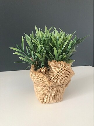 Ikea İkea bitki