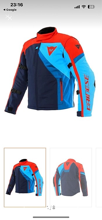 Daines mont