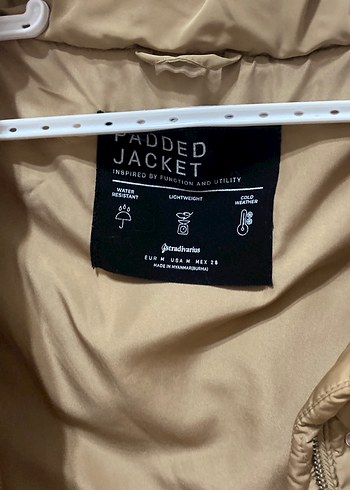 Kahverengi mont  - Görsel 2