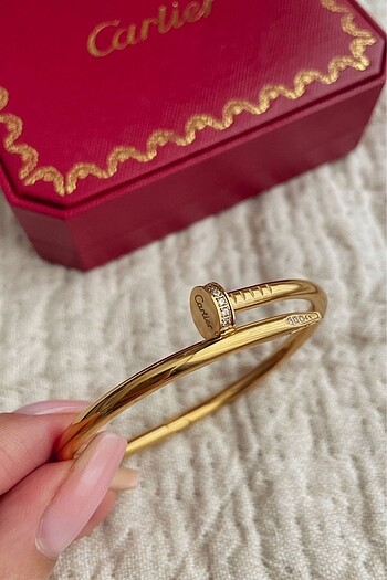 Cartier pandora bileklik
