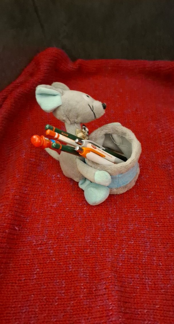 Gri Peluş Kalemlik ve Kalem Seti - Görsel 2