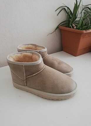 Ugg bot