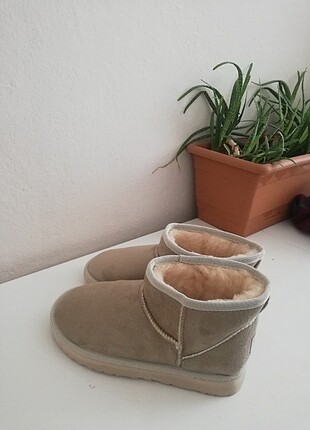 36 Beden Ugg bot