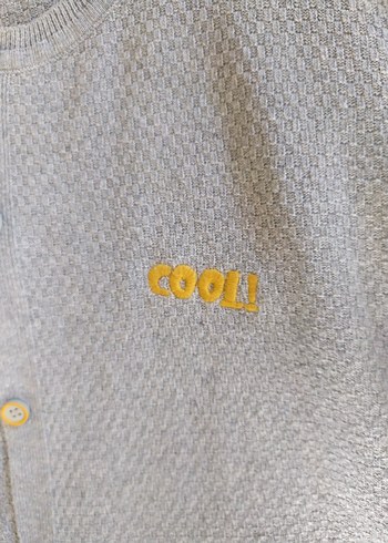 Gri Mevsimlik Kadın Hırka - Görsel 5