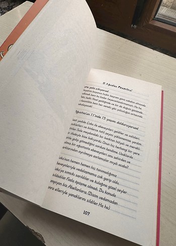 Üşütük Kızın Günlüğü 3 - Tatil Macerası - Görsel 2