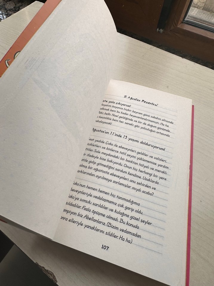 Üşütük Kızın Günlüğü 3 - Tatil Macerası - Görsel 2