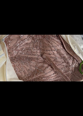 Pembe Uzun Kollu tüylü Abiye Elbise - Görsel 5