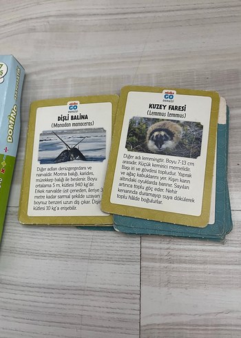 Domino Matematik Oyunu ve Kuzey Kutbu Hayvanları Kartları - Görsel 2