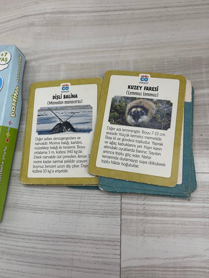 Domino Matematik Oyunu ve Kuzey Kutbu Hayvanları Kartları - Görsel 2